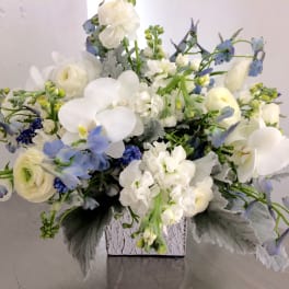 Rhapsody in Blue