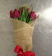 wrapped tulips