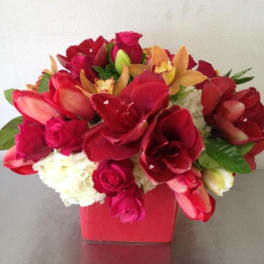 Amaryllis Bouquet